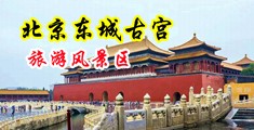 乳内射中国北京-东城古宫旅游风景区